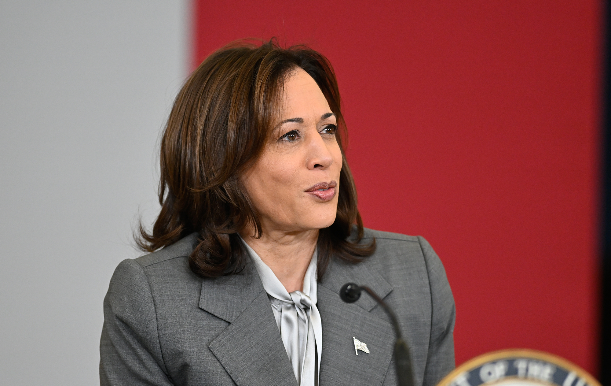 Biden's deputy. What is known about Kamala Harris and her position on Ukraine